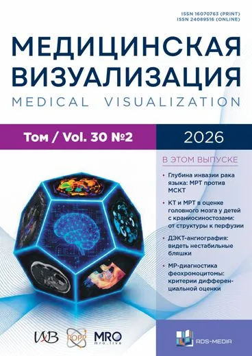 Журнал «Медицинская визуализация»